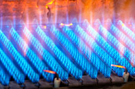 Dalton gas fired boilers